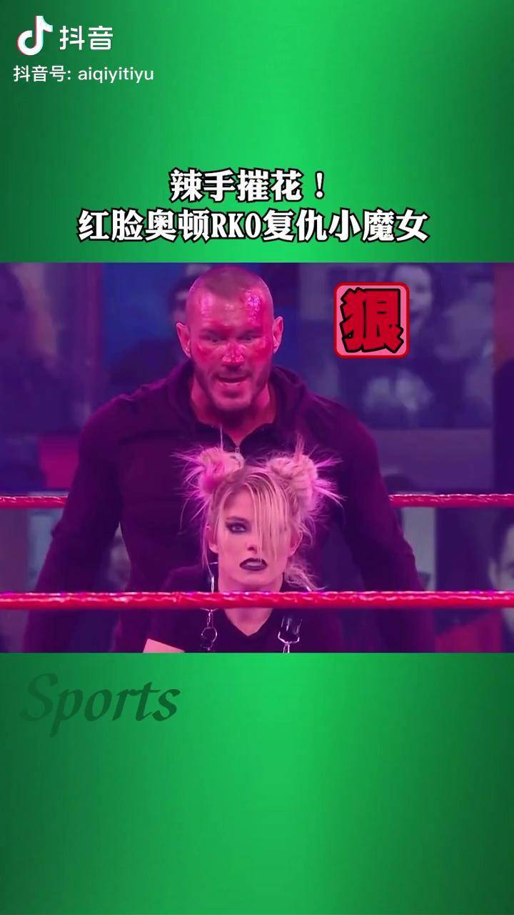 手机版wwe游戏_手机wwe游戏哪个好玩_wwe手机游戏叫什么