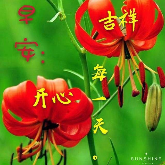 奈奈子的秘密_淘宝奈奈子的秘密是正品吗_美原咲子母的秘密