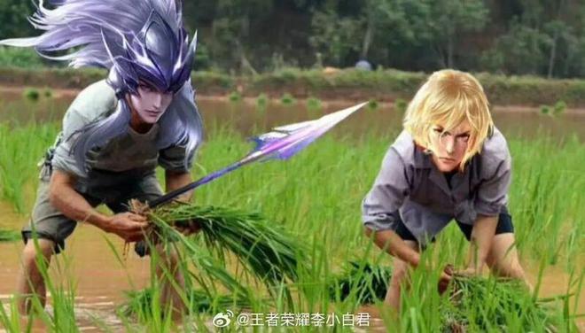 手机游戏森林舞会攻略_sex游戏手机_手机游戏森林