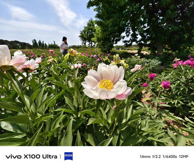 华为禁用游戏空间_vivo手机禁止游戏权限_vivo手机禁用游戏空间