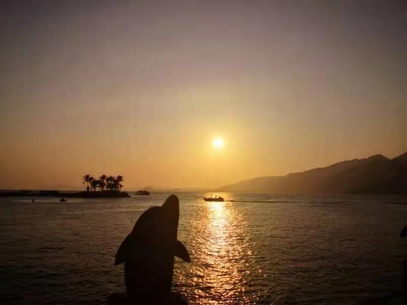 夕张王甜瓜_夕张_夕张市