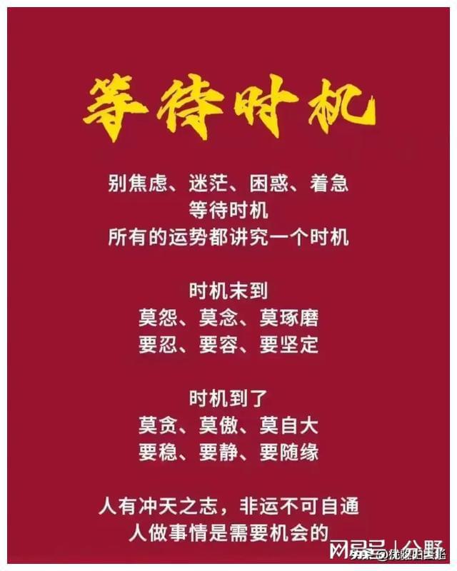 盛开的钢琴之森下百度网盘_盛开音乐_盛开的钢琴之森下