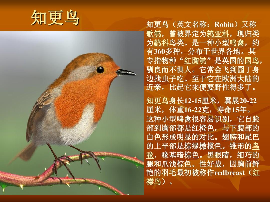 下载手游app_下载手游软件_SONGBIRD下载游戏手机