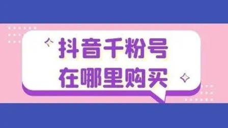 便宜的粉丝能吃吗_买粉丝哪个平台便宜_便宜丝粉买平台是真的吗