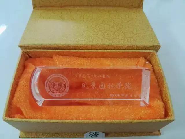 2005年日历_日历年视图_2024年日历年