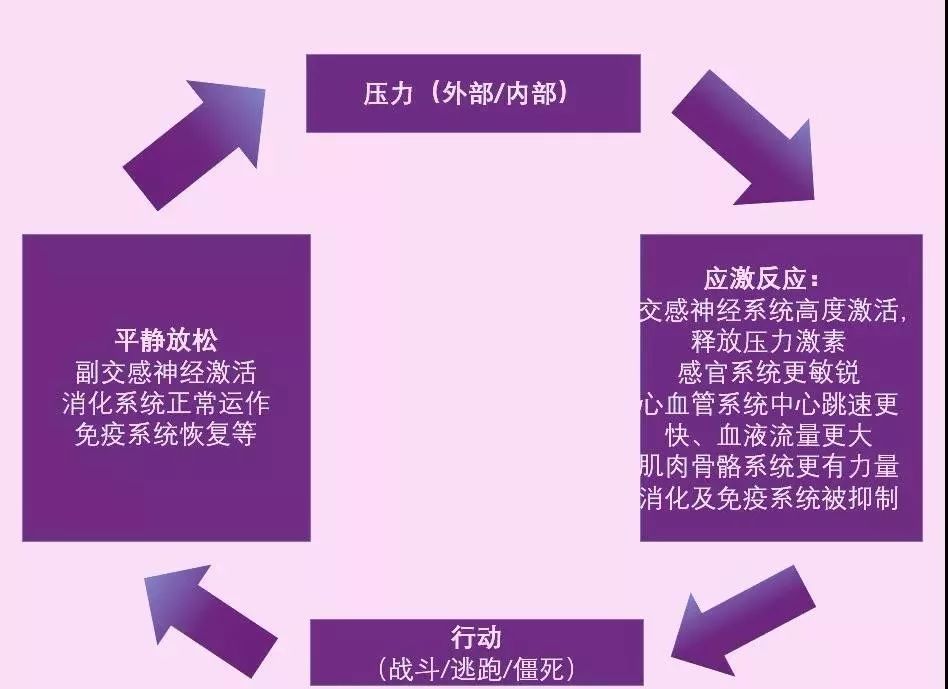 对着手机摄像头跳高的游戏_摄像头照着跳舞的游戏_跳蹬摄像头厂