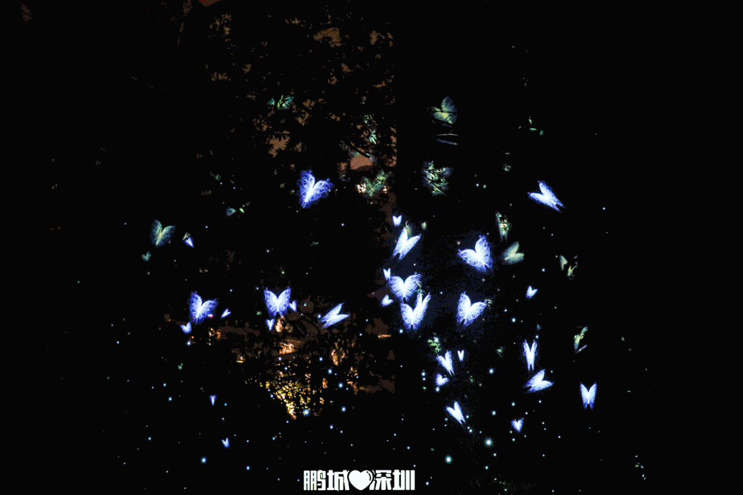 黑羽龙_黑羽龙_黑羽龙