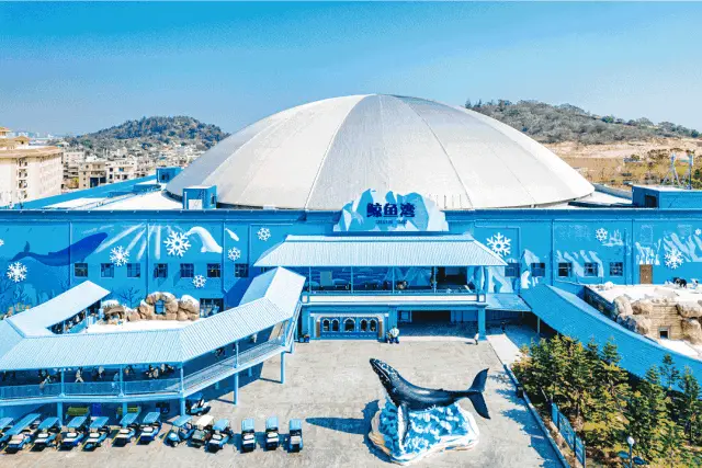 手机赛车游戏哪个好玩大型游戏_大湖论坛手机版下载_大湖游戏手机