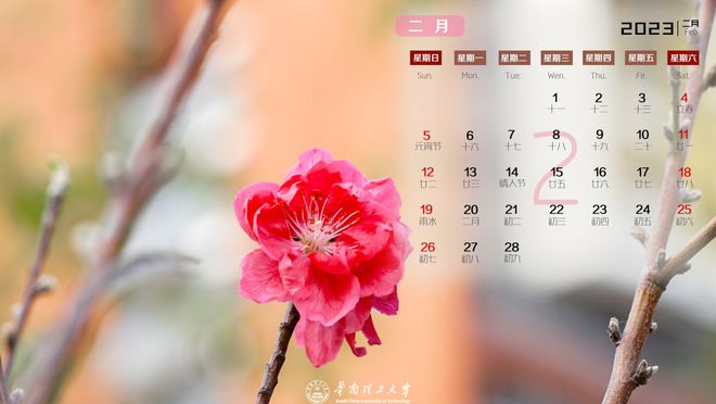 2023日历表全年_日历全年表日历表_日历全年表打印