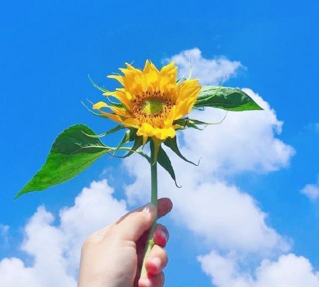 德国绪森公司_森下美绪_绪美是什么公司的