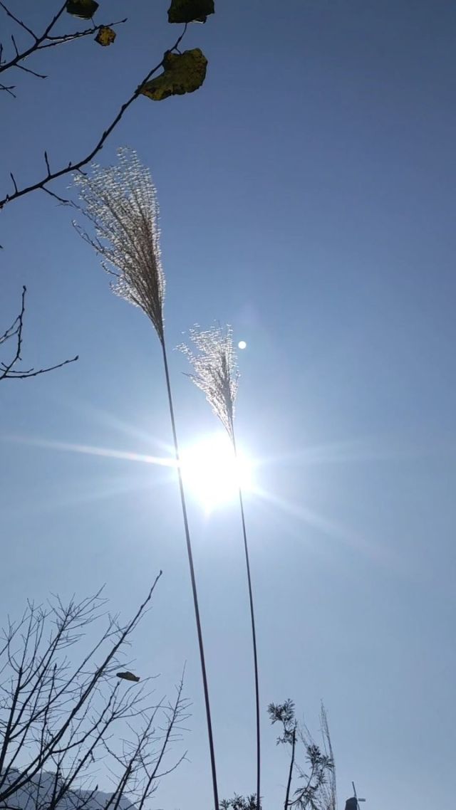 森下美绪_绪美是什么公司的_德国绪森公司