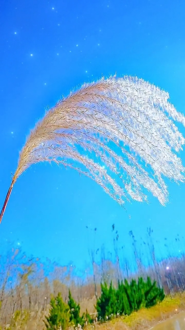 森下美绪_德国绪森公司_绪美是什么公司的