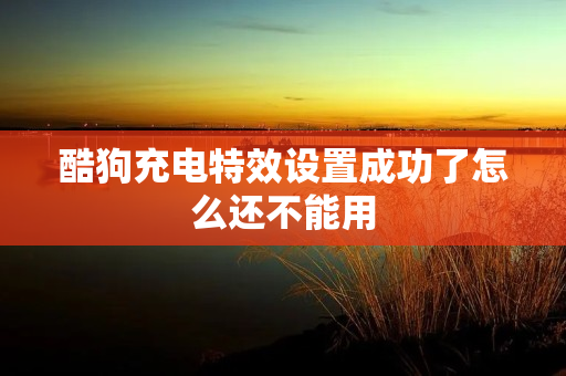 特效充电设置怎么设置_充电特效在哪里设置_设置一下充电特效