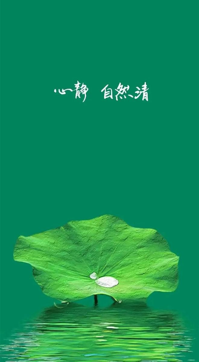 雫_神之雫04_日野雫作品雫18歳