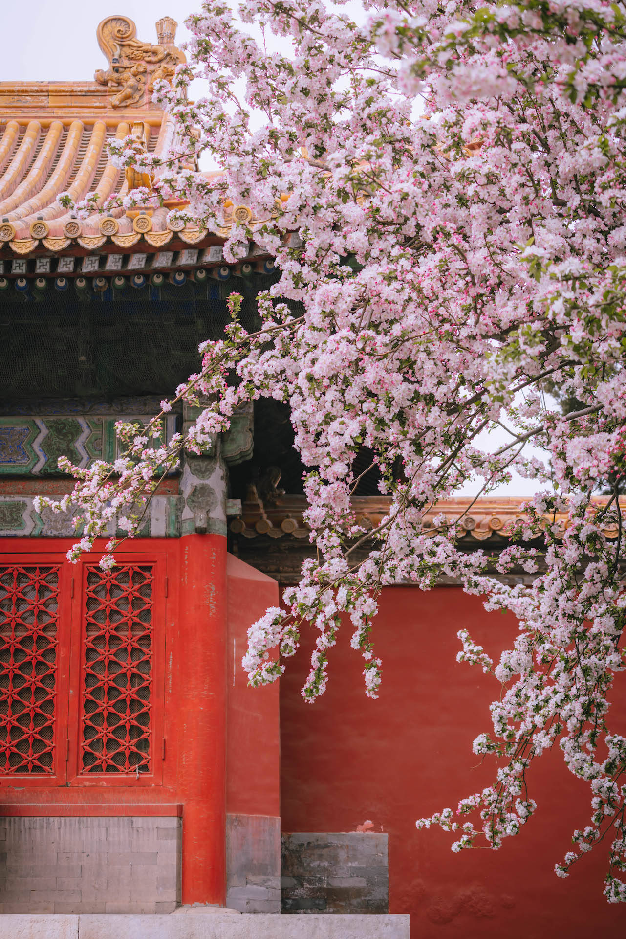 潍坊谷德佳乐家电话_潍坊谷德广场佳乐家_王家长眠之谷