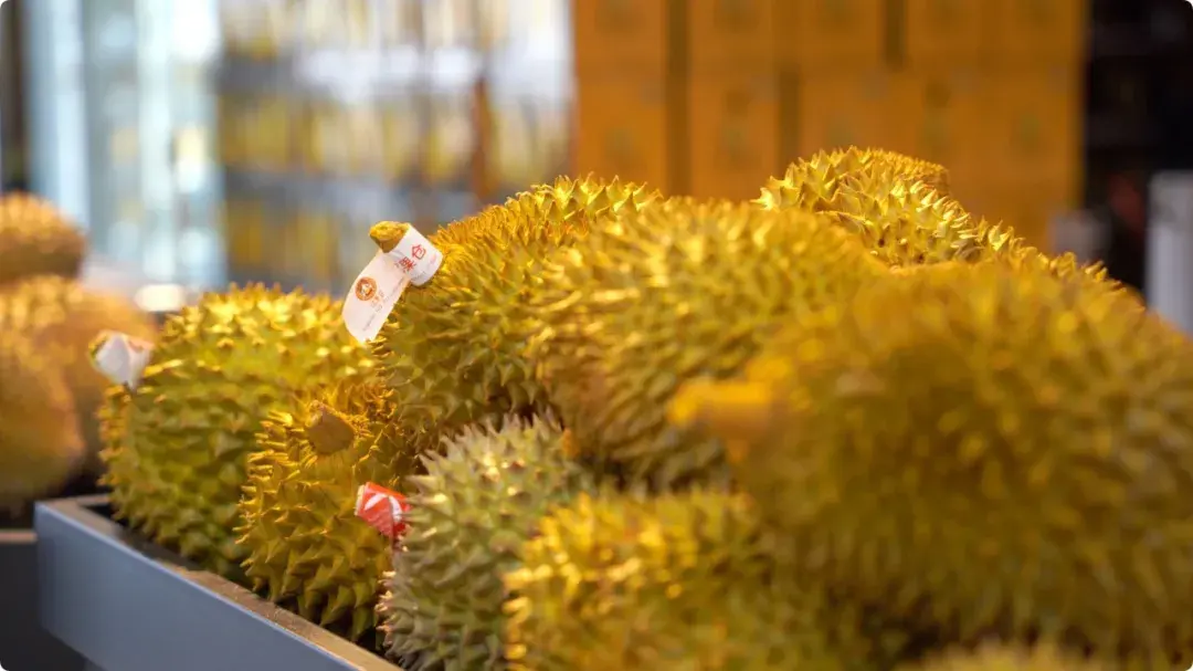 疯狂奔跑吧游戏下载手机版_疯狂奔跑下载安装手机版_疯狂奔跑0.3.1版本下载