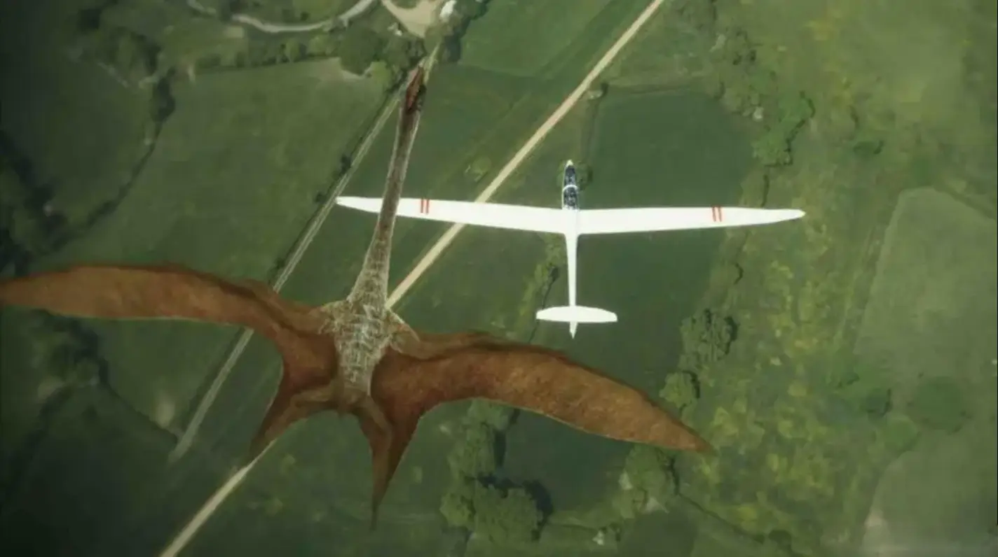 坂上鹰文_坂上鹰文_坂上鹰文