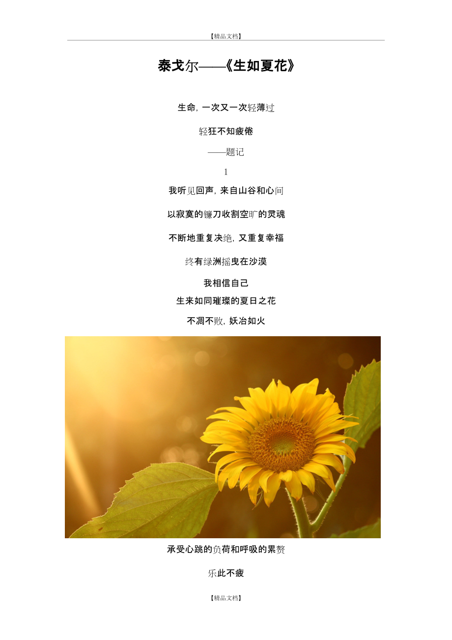 兽王_夏夕_冬夏与安柒