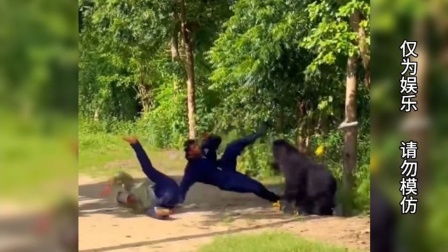 整蛊专家免费观看完整版电影-整蛊专家：免费观看完整版，一场笑