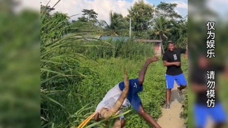 整人专家电影免费观看_整蛊专家电影_整蛊专家免费观看完整版电影