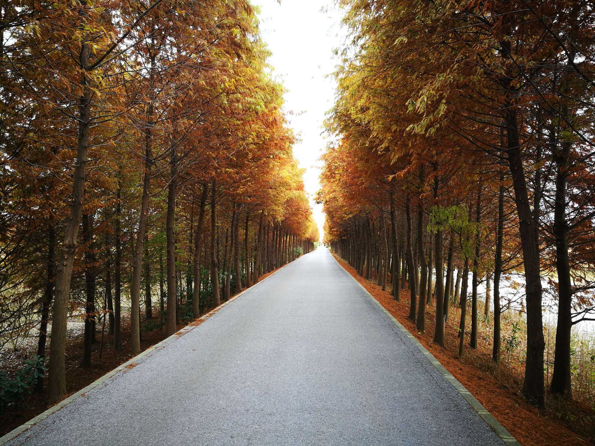 马自达星骋_马自达3星骋油耗_星骋