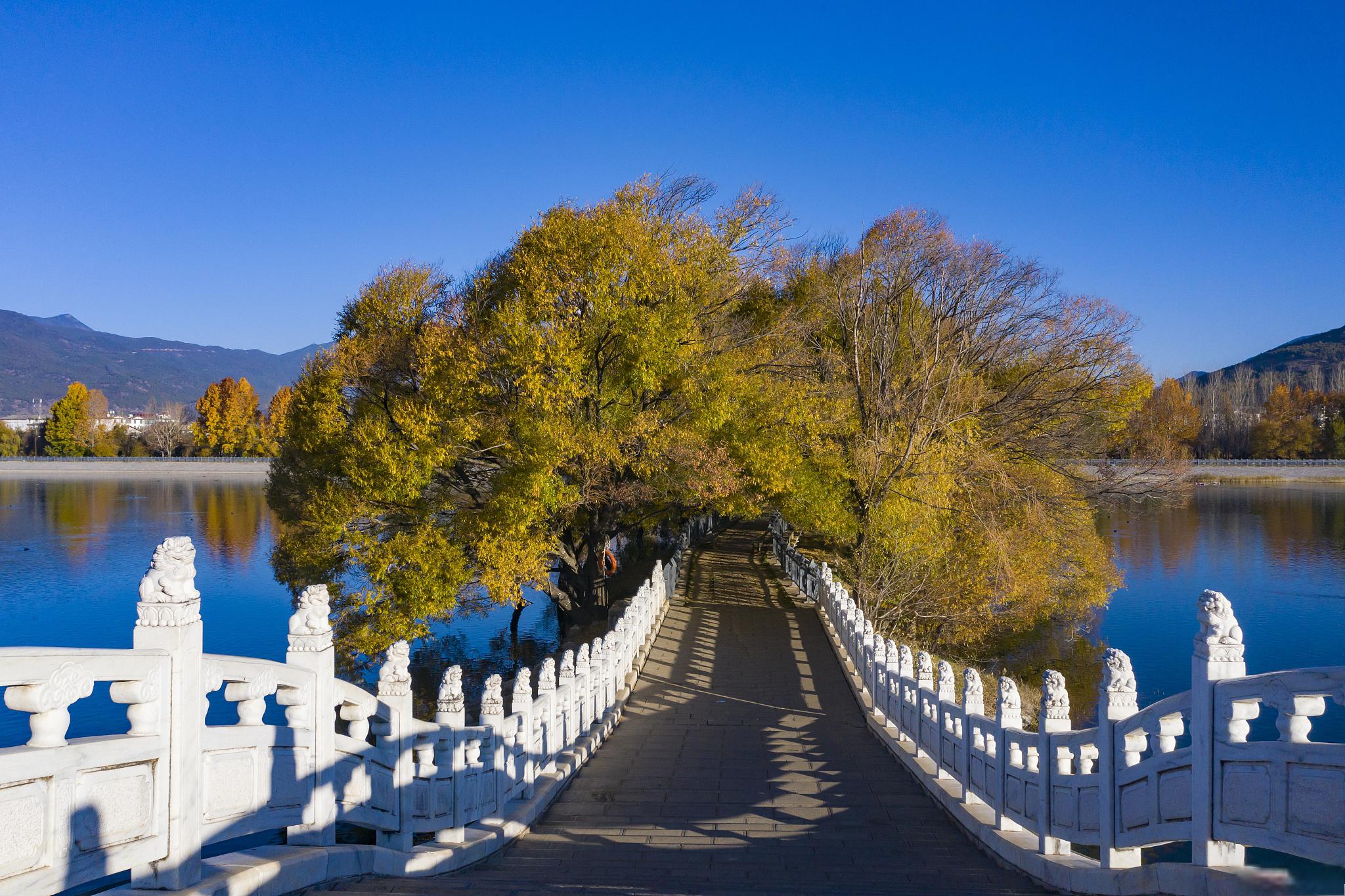 2020年放假_放假年历2024_放假年放假时间