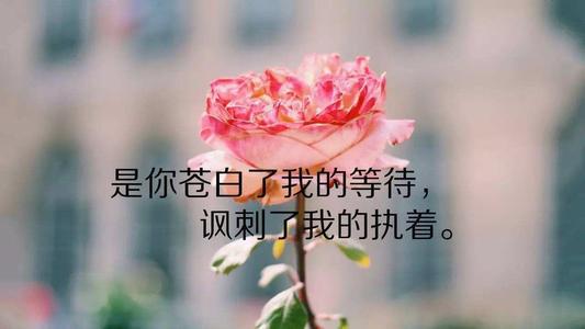 天气预报15天当地天气查询_天津天气预报_77天