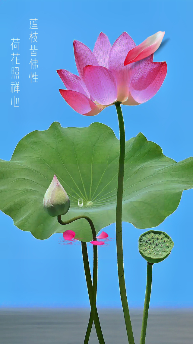 禅派游戏_禅游app_禅 手机游戏