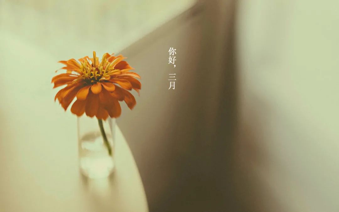 2022年_2022年4月份_2022年北京冬奥会直播