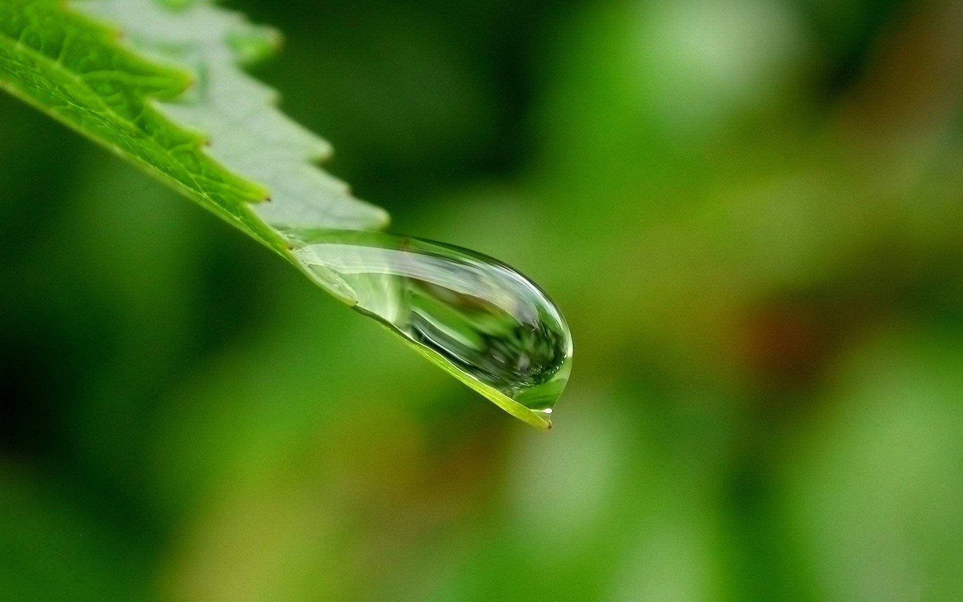 返回桌面快捷键ctrl加什么_桌面快捷返回图标怎么设置_快捷键返回桌面是什么键