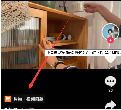 拍抖音怎么赚的钱_初学者怎么拍抖音挣钱_抖音拍抖音如何挣钱
