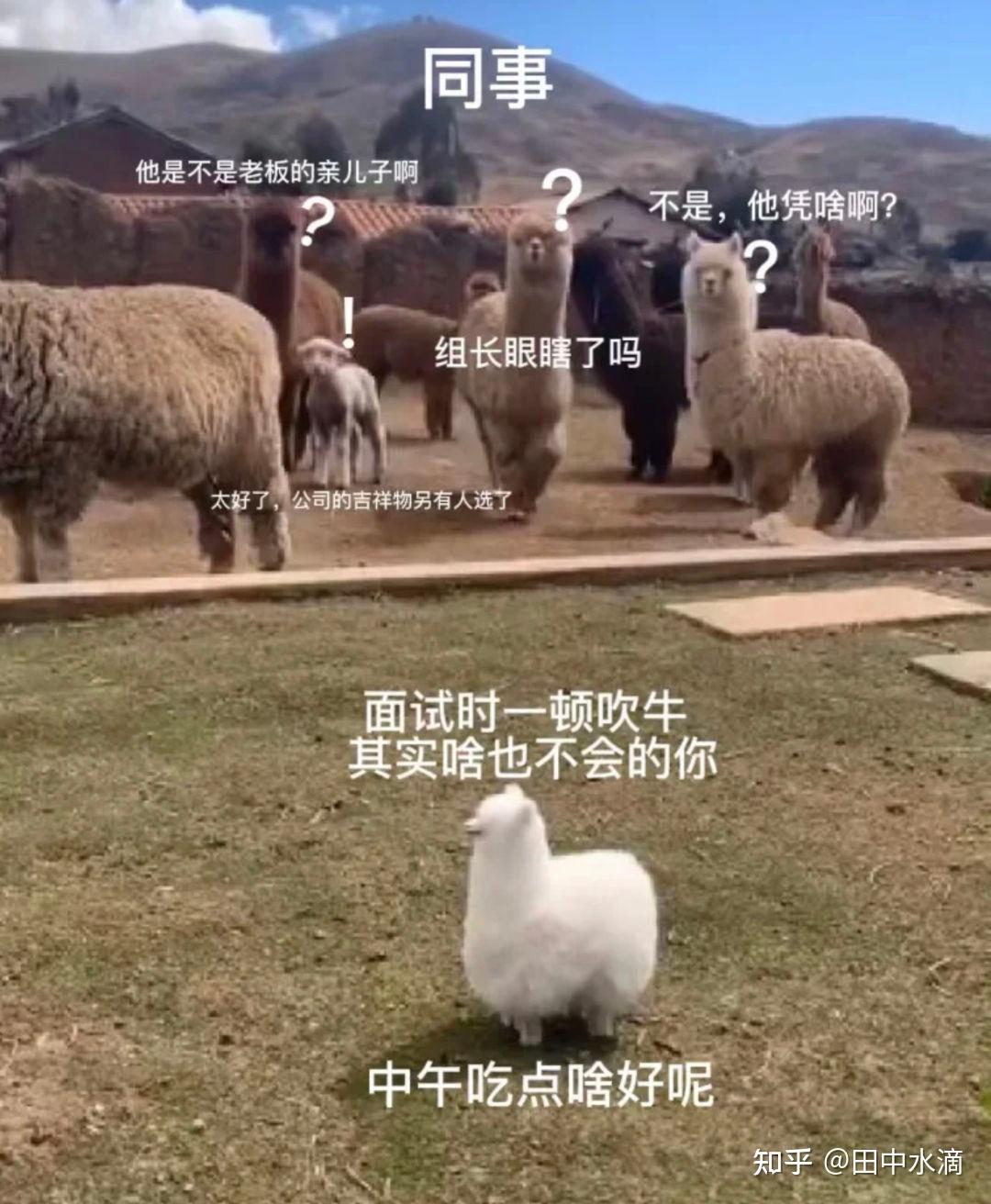 抖音拍抖音如何挣钱_初学者怎么拍抖音挣钱_拍抖音怎么赚的钱