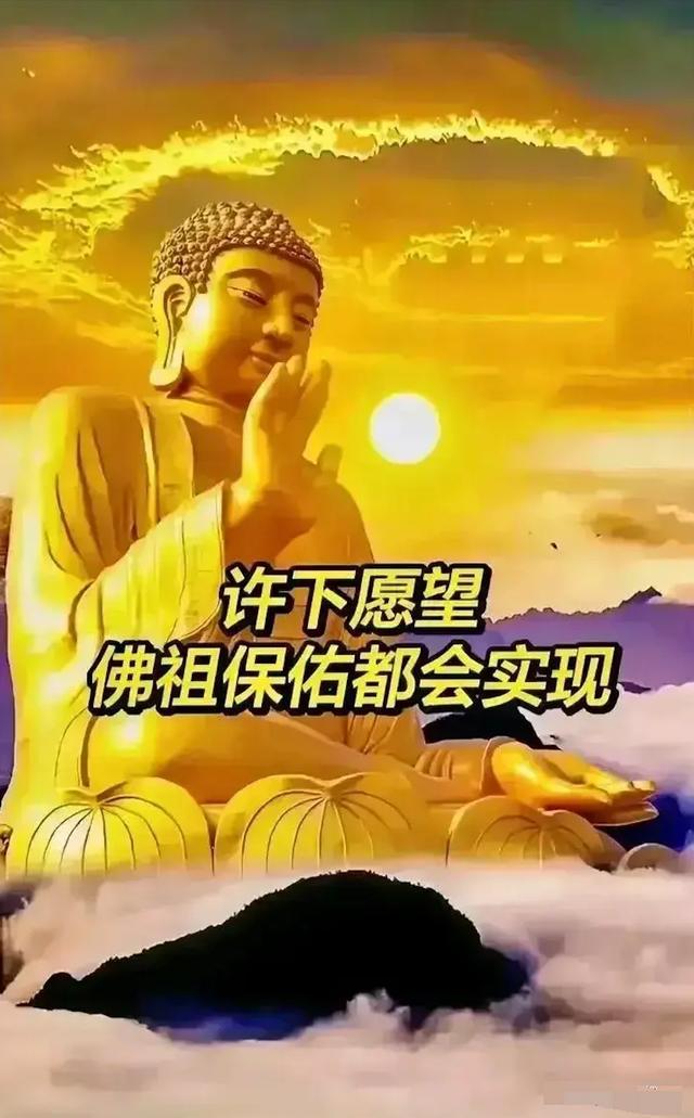 乘风破浪在线观看_乘风破浪免费观看完整视频_乘风破浪高清观看