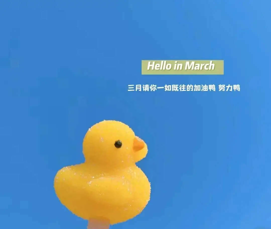 3月20日_月亮的拼音_月经不来是什么原因