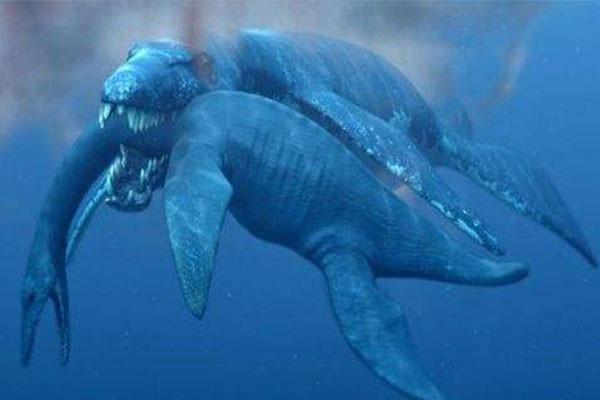 魔导兽_魔导兽_魔导兽