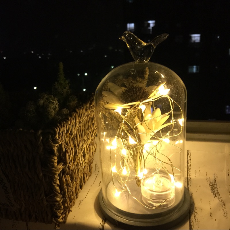 灯萤素雪_灯萤夜烛_萤灯