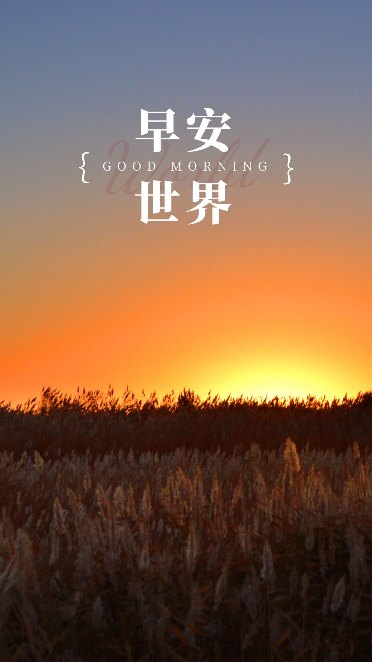 午夜の待ち合わせ野良神_神待_《待神令》
