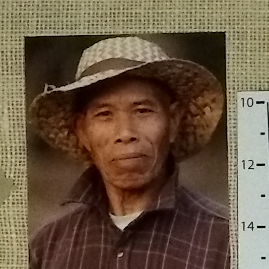 dxomark游戏手机_手机游戏捕鱼_手机游戏平台