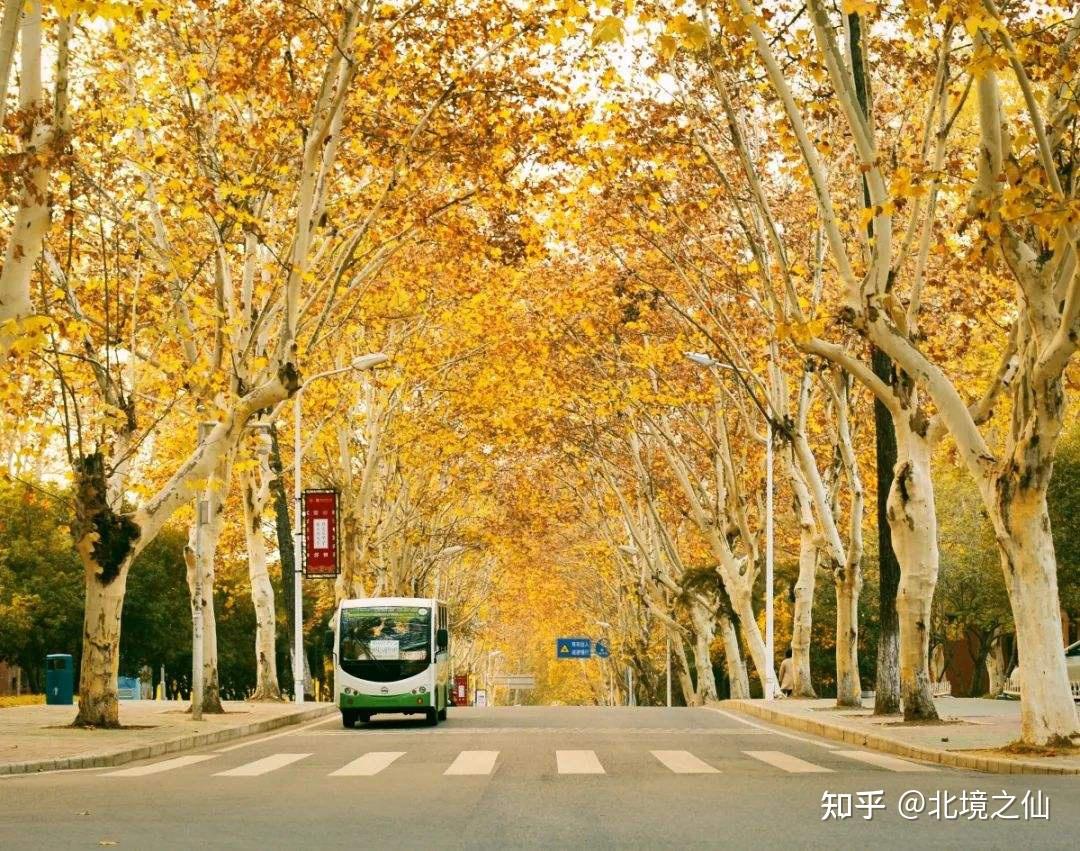 宗像礼司_宗像礼司生日_宗像礼司语录