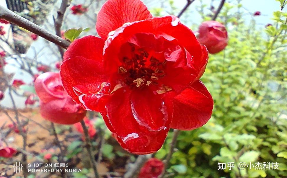 性价比最高的手机打游戏_手机打游戏排行榜_高性能打游戏手机排行