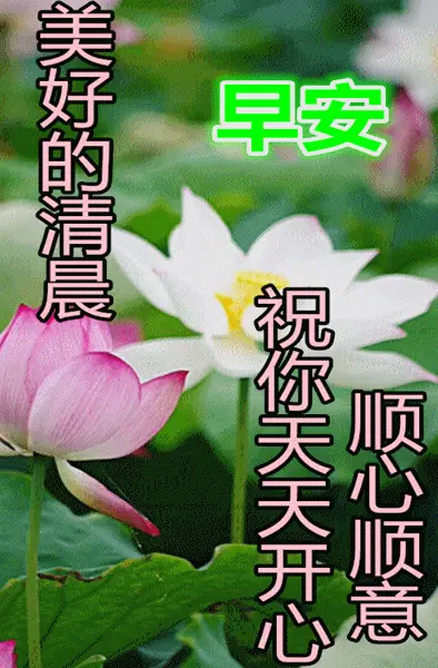 00后带手机玩游戏的女人_00后玩手机都玩什么_带女生玩的手机游戏