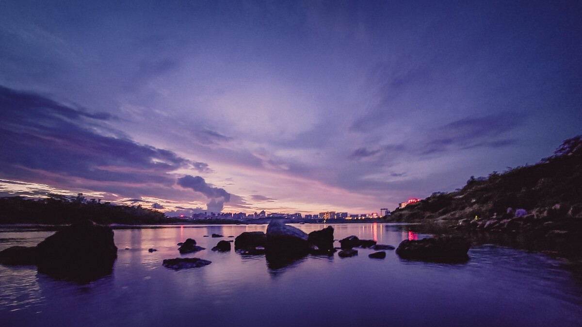 雷切尔皮佐拉托_雷切尔_雷切尔卡森
