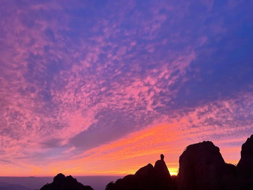 雷切尔皮佐拉托_雷切尔_雷切尔卡森