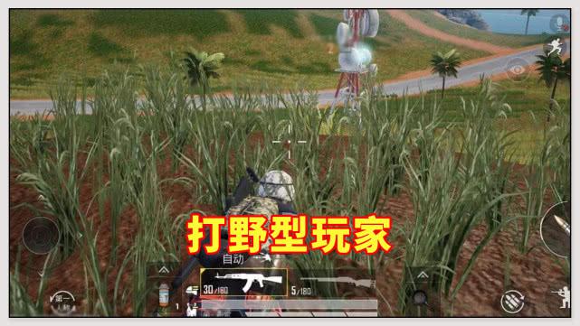 单机吃鸡游戏大全手机版_单机吃鸡类游戏手机版_单机手机版吃鸡的游戏