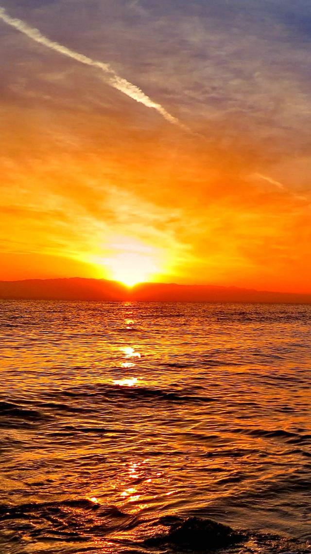 朝花夕誓_朝化夕誓_朝花夕誓mv