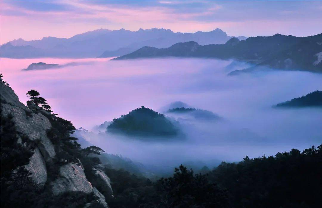 手机猜字游戏叫什么_游戏手机猜字软件_猜字游戏手机游戏