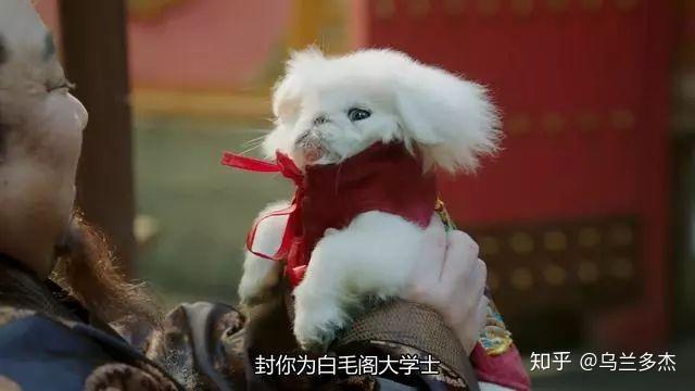 大明风华手机迅雷下载_1080p下载大明风华迅雷_大明风华迅雷下载