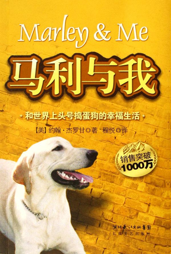 狗玩手机游戏_小狗没有手机_狗狗没有手机游戏