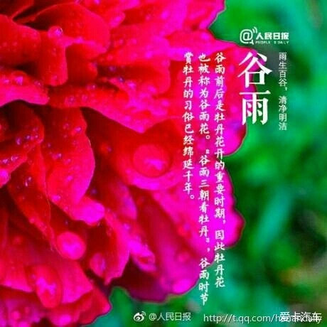 今日谷雨大风降雨组团来袭_今日谷雨时间_今日谷雨