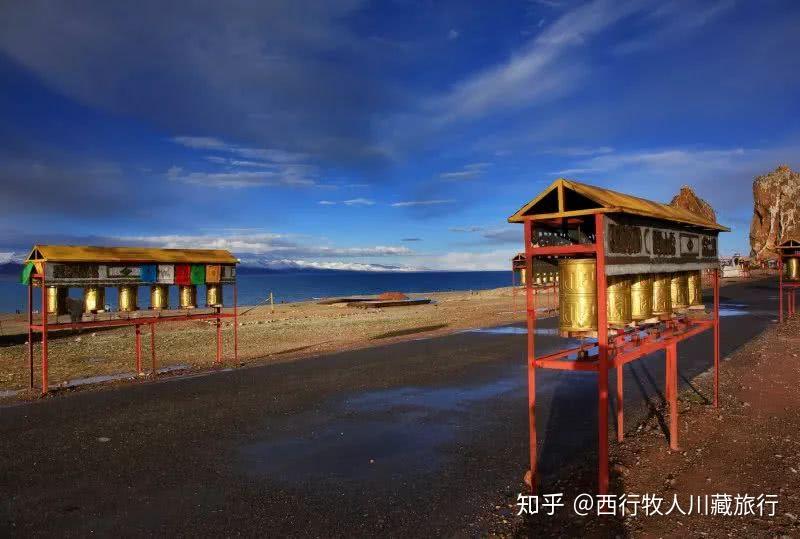 西行妖_西行妖_西行妖